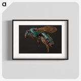 3-14_Insects-Unlocked-Project_blk