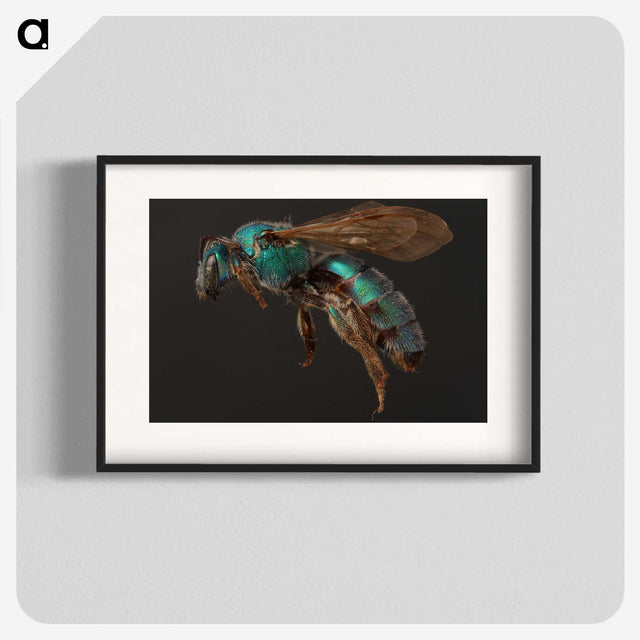 3-14_Insects-Unlocked-Project_blk