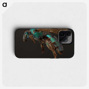 3-14_Insects-Unlocked-Project_phone