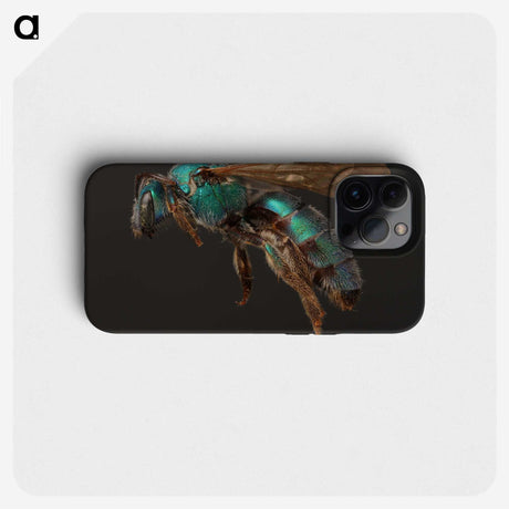 3-14_Insects-Unlocked-Project_phone