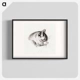 Sketch of a cat - Jean Bernard Poster.