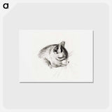 アートポストカード-Sketch of a cat - ジャン ベルナール Postcard.