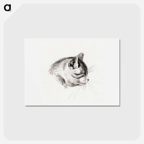 アートポストカード-Sketch of a cat - ジャン ベルナール Postcard.