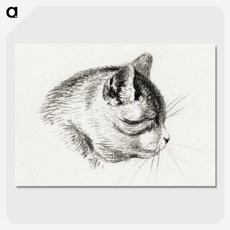 3-14_Jean-Bernard_picture-crop