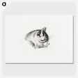 3-14_Jean-Bernard_picture