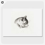 3-14_Jean-Bernard_picture