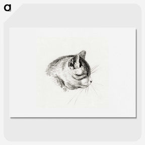 3-14_Jean-Bernard_picture