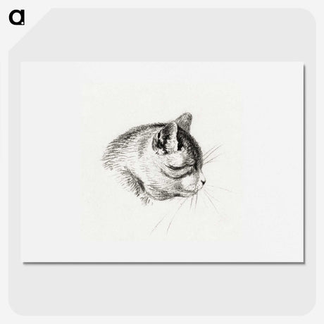 3-14_Jean-Bernard_picture