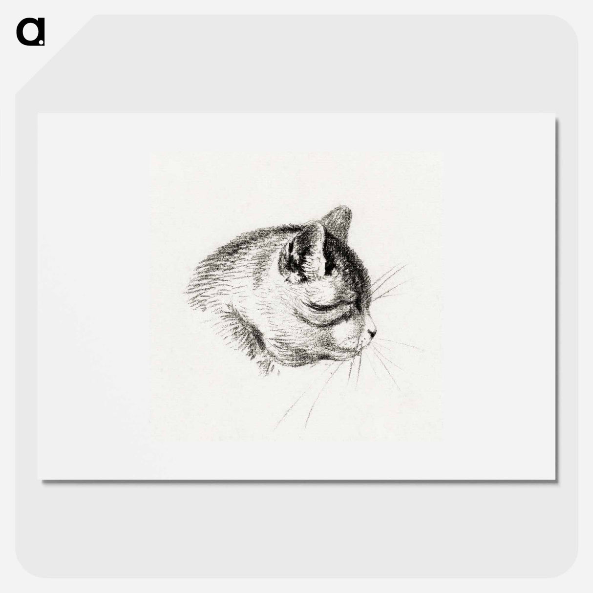 Sketch of a cat - Jean Bernard Poster.