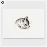 Sketch of a cat - Jean Bernard Poster.