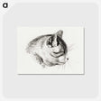 3-14_Jean-Bernard_postcard
