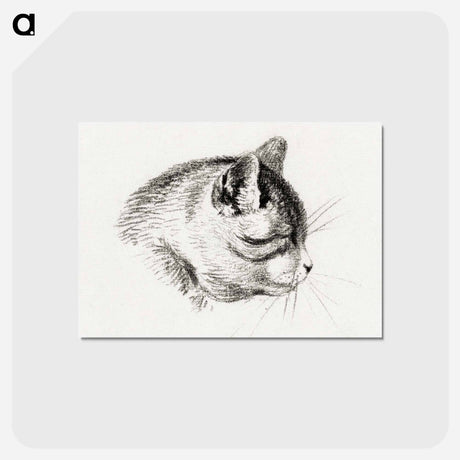 アートポストカード-Sketch of a cat - ジャン ベルナール Postcard.