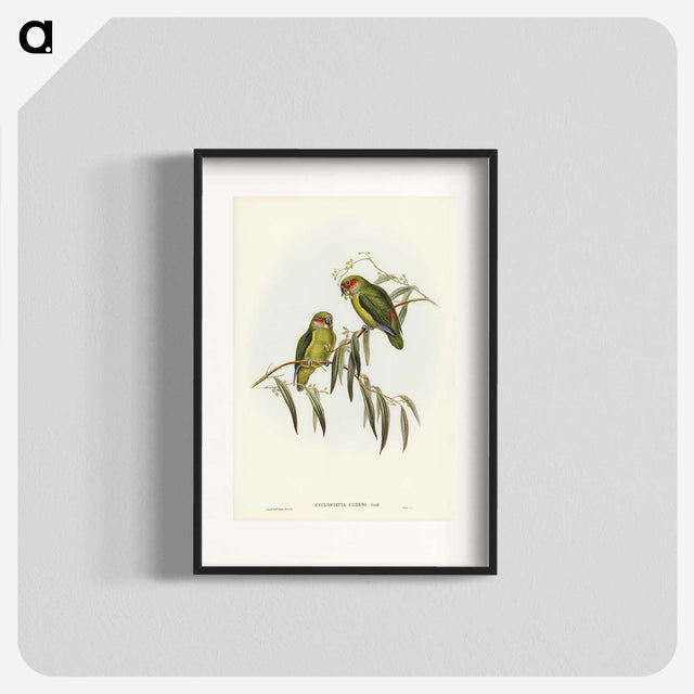 3-14_John-Gould_blk