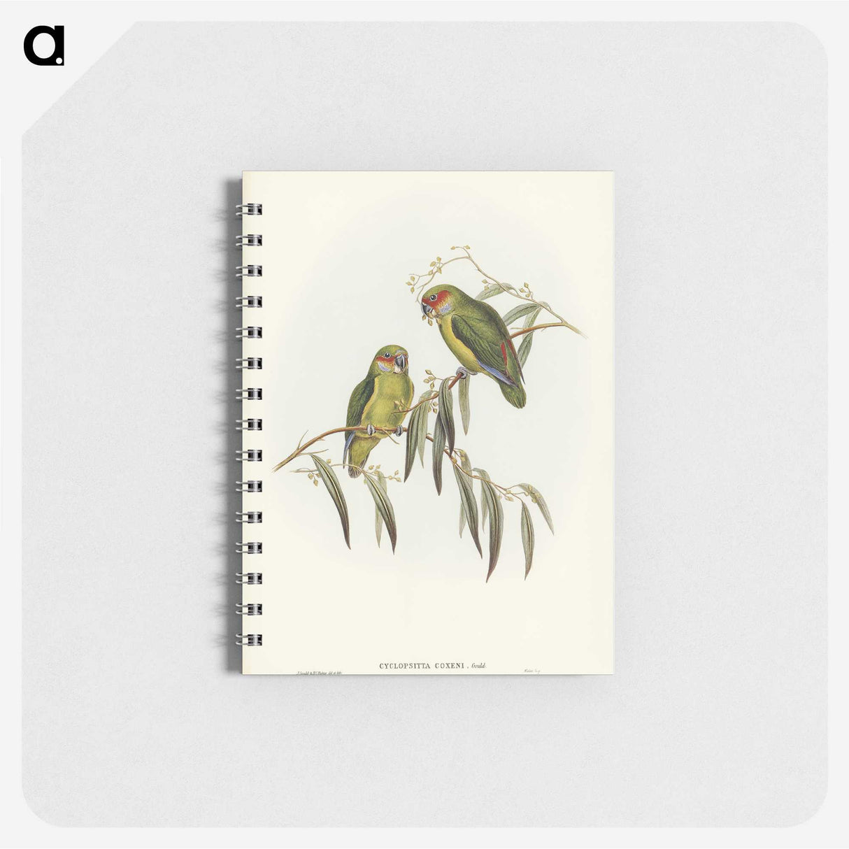 3-14_John-Gould_memo