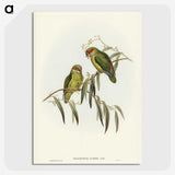 3-14_John-Gould_picture-crop