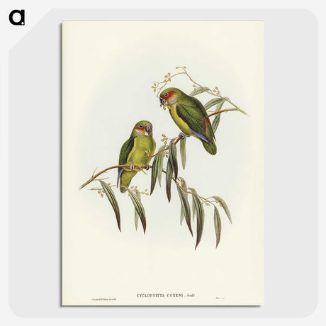 3-14_John-Gould_picture-crop