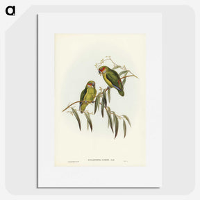 3-14_John-Gould_picture