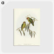 3-14_John-Gould_postcard