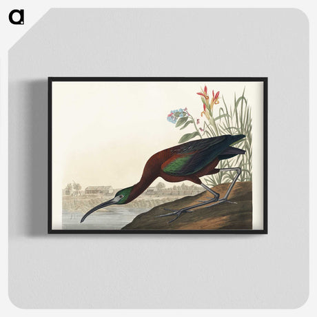 3-14_John-James-Audubon_blk-crop