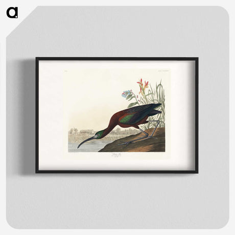 3-14_John-James-Audubon_blk