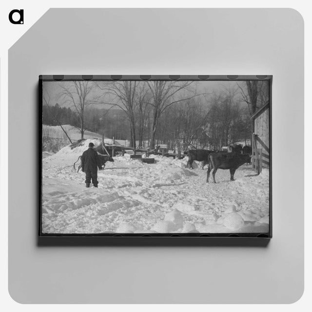 3-14_Marion-Post-Wolcott_canvas