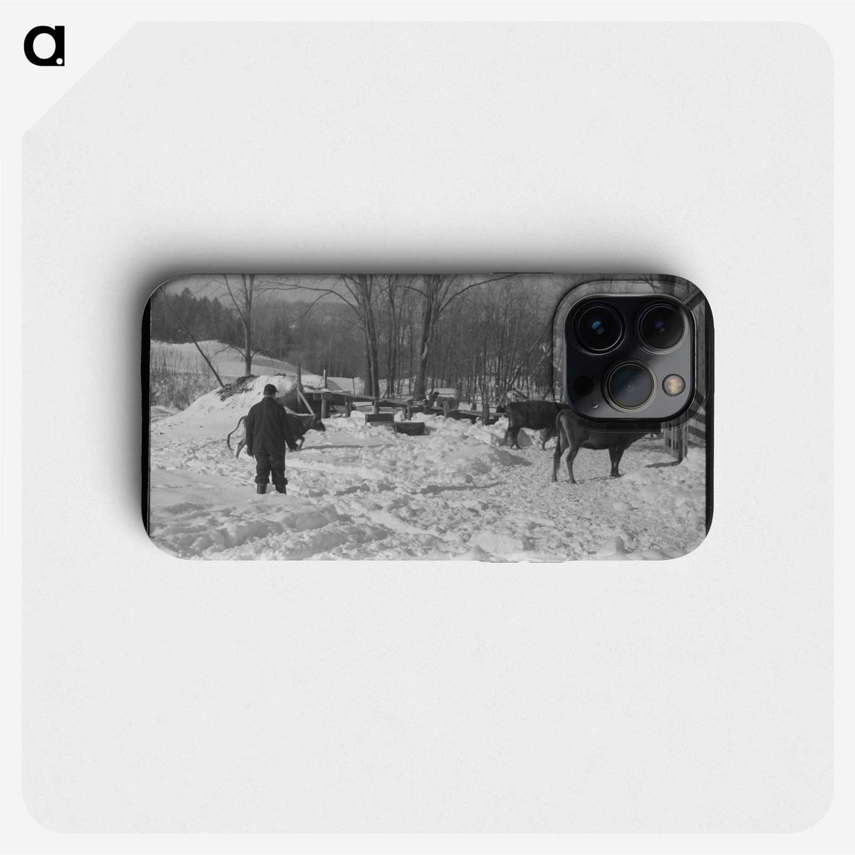 3-14_Marion-Post-Wolcott_phone