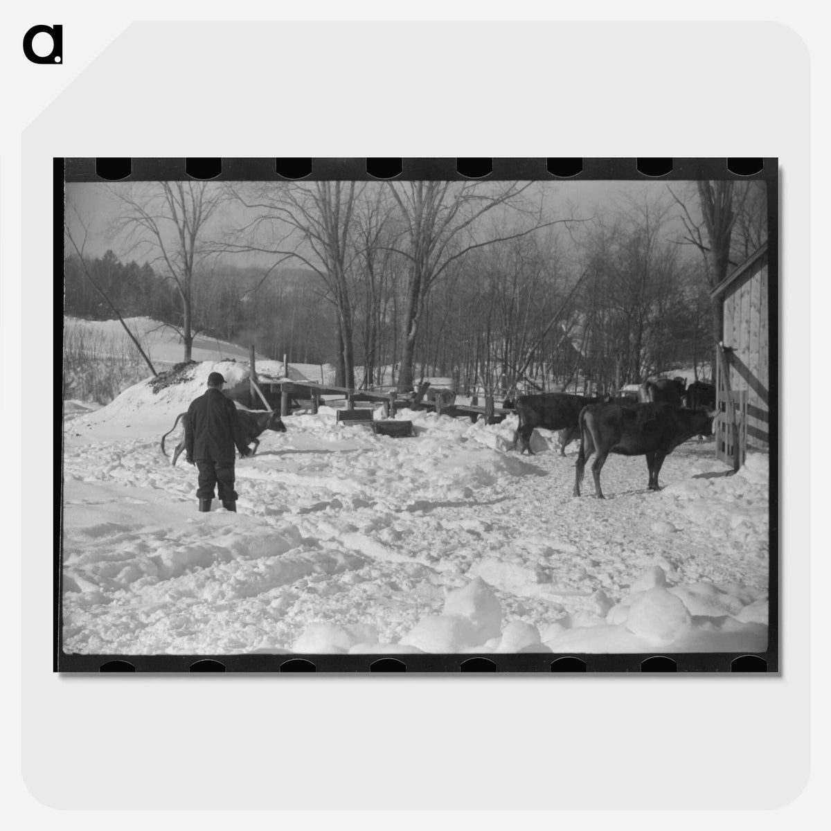 3-14_Marion-Post-Wolcott_picture-crop
