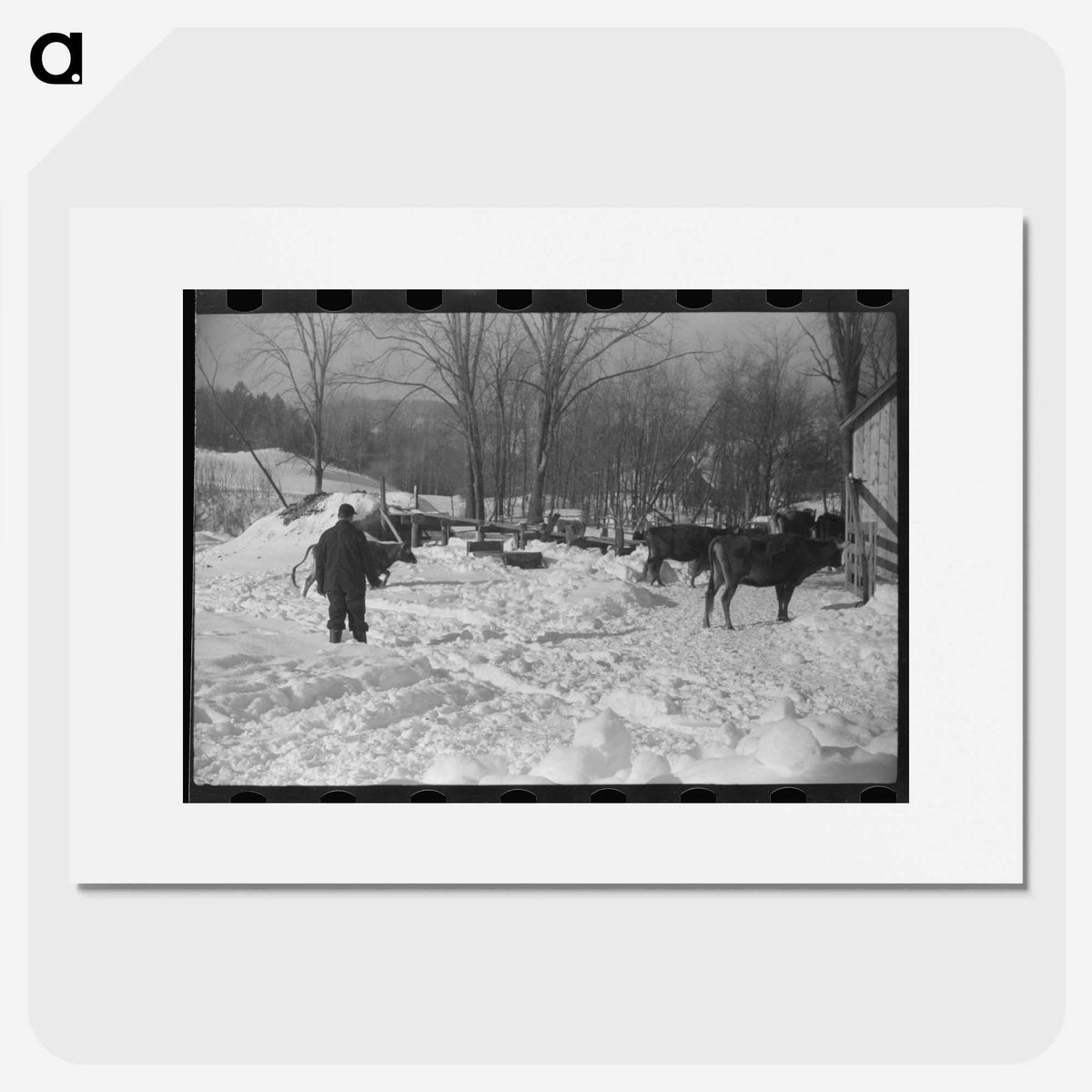 3-14_Marion-Post-Wolcott_picture