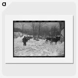 3-14_Marion-Post-Wolcott_picture