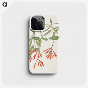 3-14_Mary-Vaux-Walcott_phone