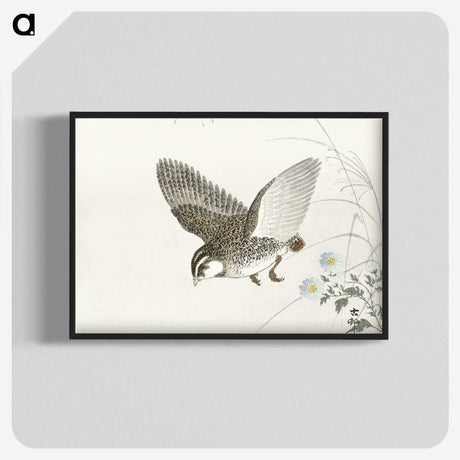 3-14_Ohara-Koson_blk-crop