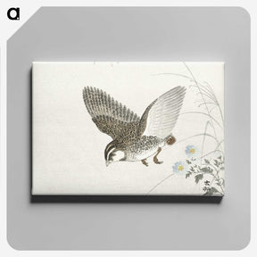 3-14_Ohara-Koson_canvas
