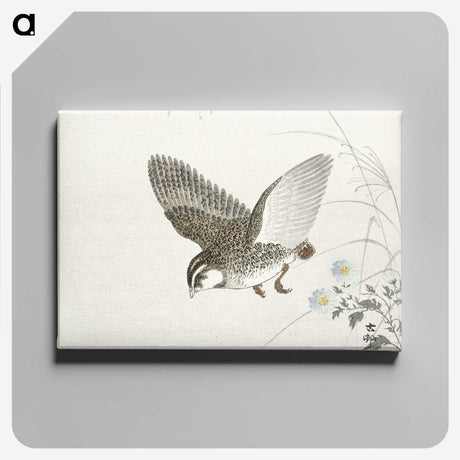 3-14_Ohara-Koson_canvas