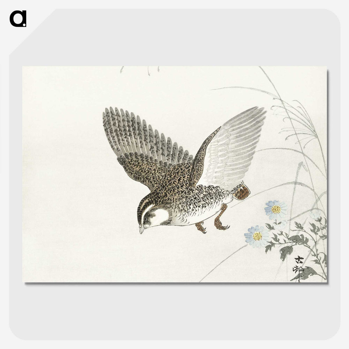 3-14_Ohara-Koson_picture-crop