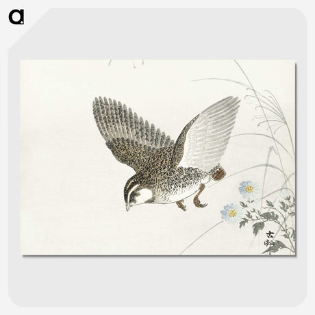 3-14_Ohara-Koson_picture-crop