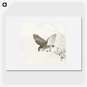 3-14_Ohara-Koson_picture
