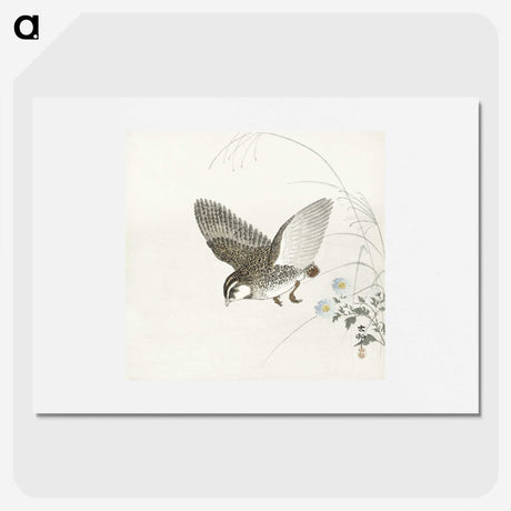 3-14_Ohara-Koson_picture