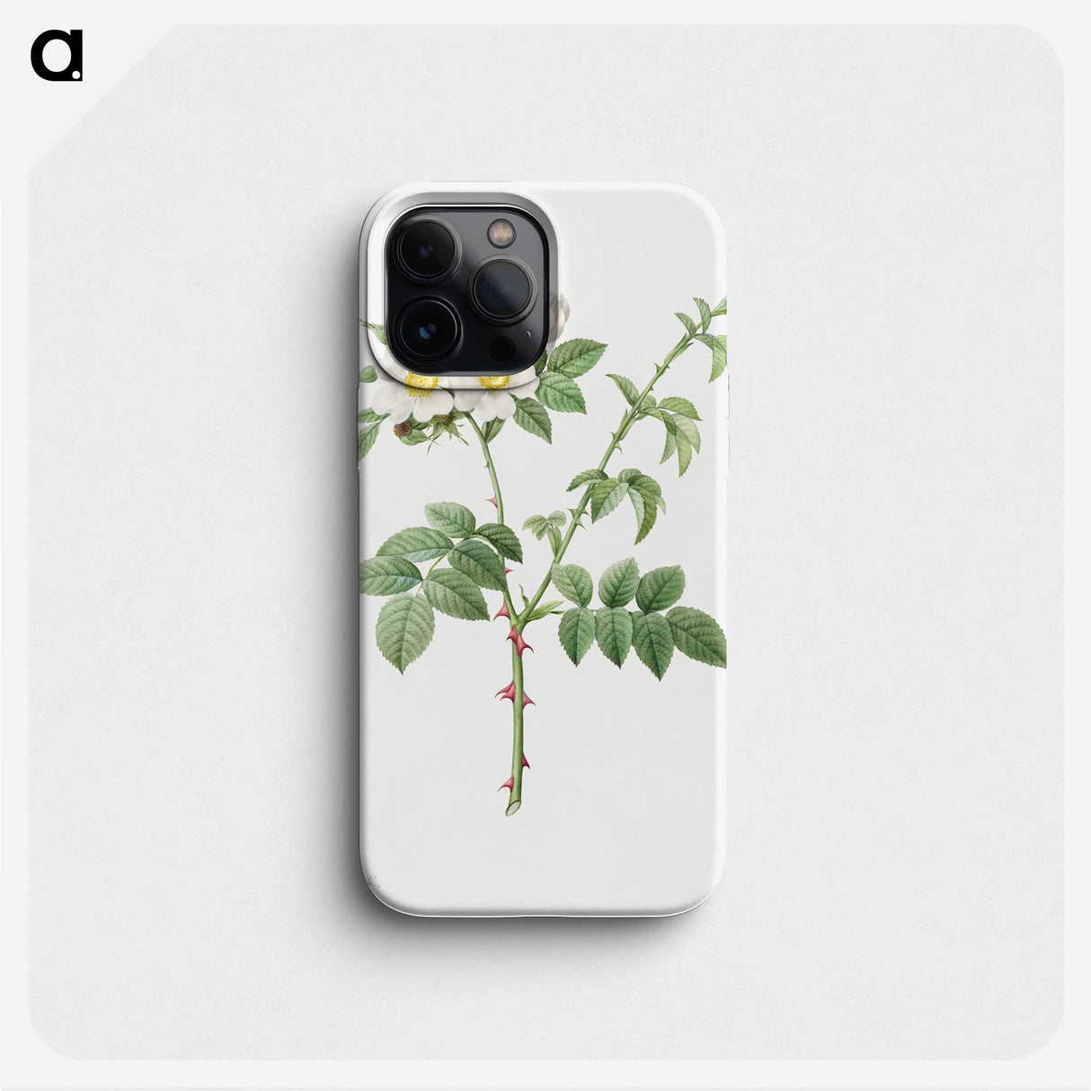 3-14_Pierre-Joseph-Redoute_phone