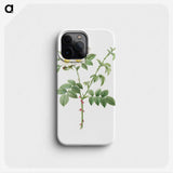 3-14_Pierre-Joseph-Redoute_phone