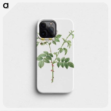 3-14_Pierre-Joseph-Redoute_phone