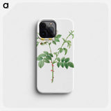 Brier Bush Rose or Dog Rose - Pierre Joseph Redouté Phone Case.