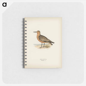 アートメモ帳-Red Knot
 - スヴェンスカ フォグラル Memo.