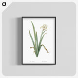 3-14_The-Lilies_blk-crop