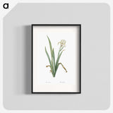3-14_The-Lilies_blk