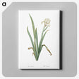 3-14_The-Lilies_canvas