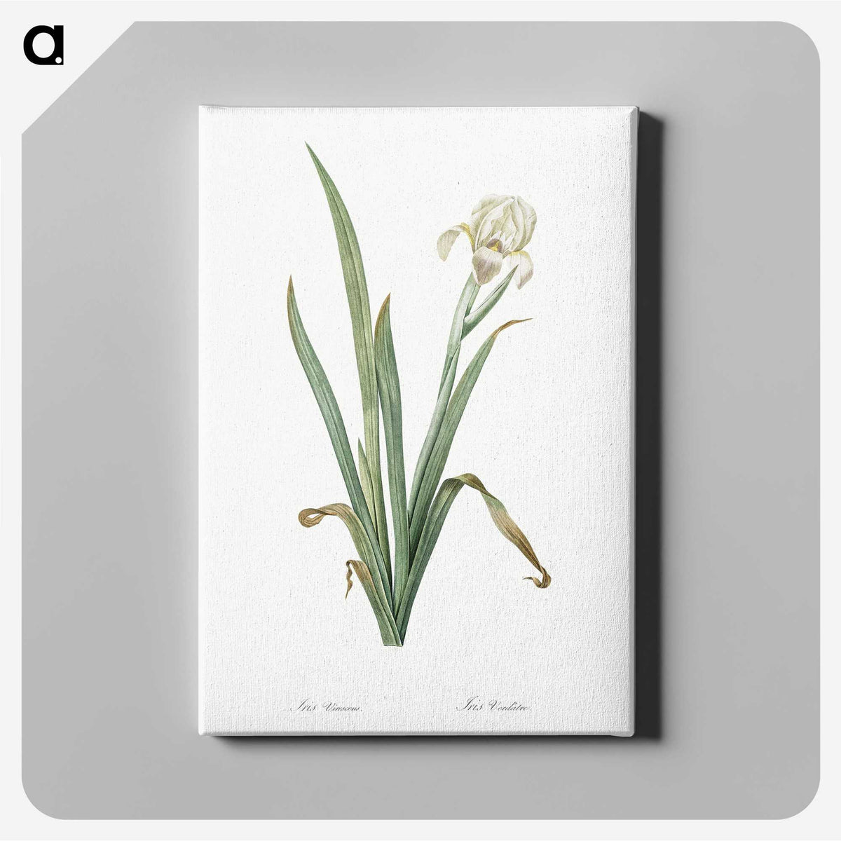3-14_The-Lilies_canvas