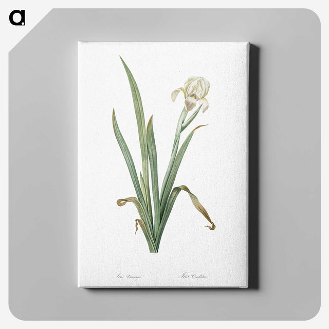 3-14_The-Lilies_canvas