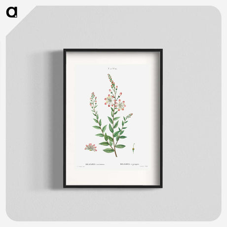 3-14_Treatise-on-Trees-and-Shrubs_blk