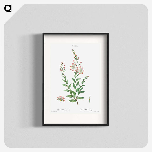 3-14_Treatise-on-Trees-and-Shrubs_blk