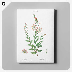 3-14_Treatise-on-Trees-and-Shrubs_canvas